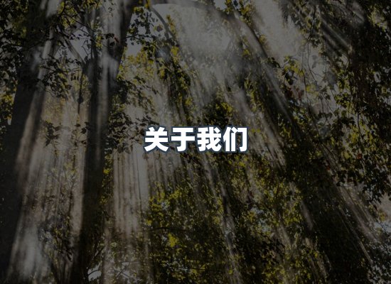 专业团队